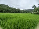 大山风景