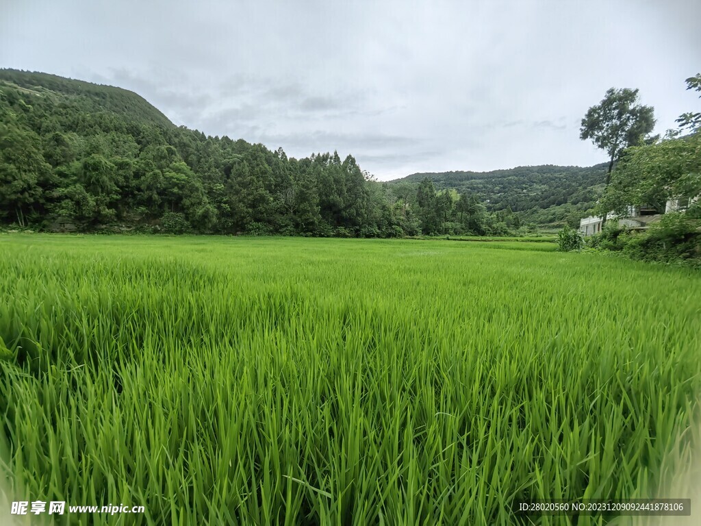 大山风景