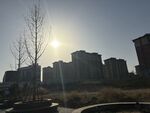 阳光
