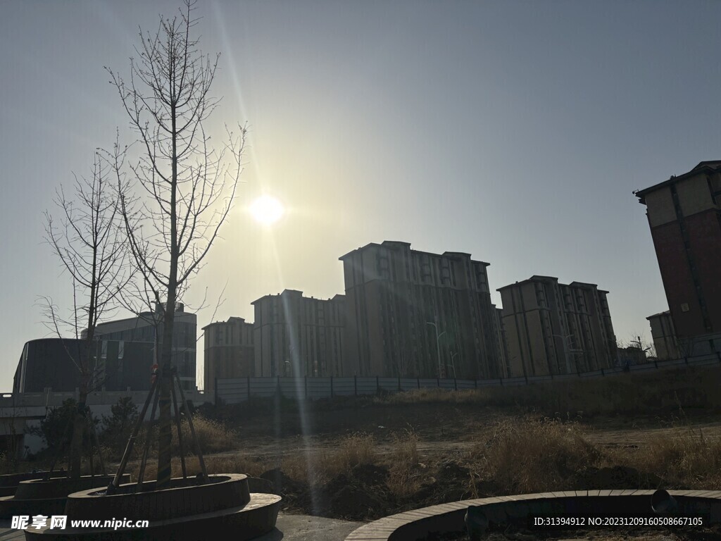 阳光
