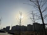 太阳