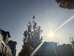 阳光