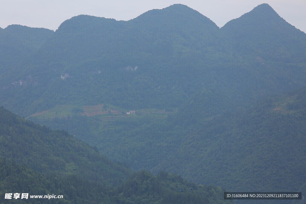 山 风景 森林