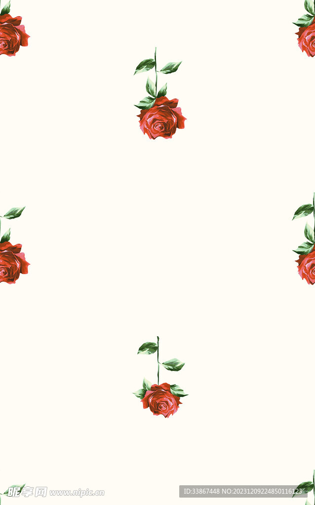 玫瑰花