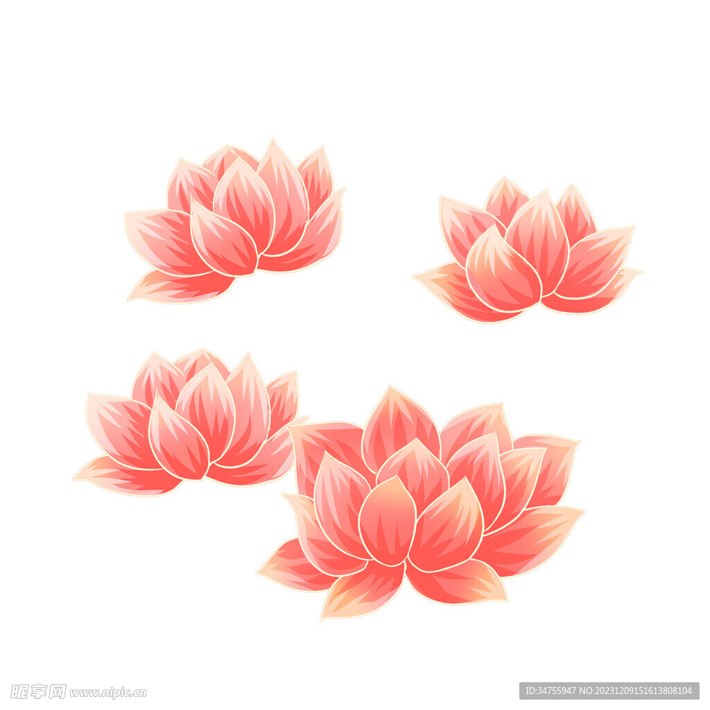 莲花