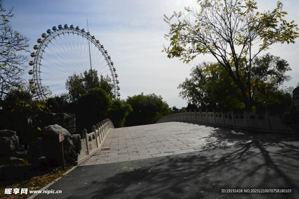 公园风景 