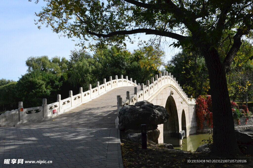 公园风景
