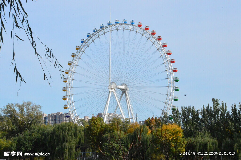 公园风景 