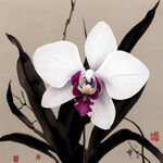 白色蝴蝶兰花水墨画