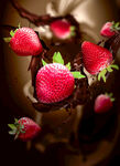 草莓巧克力摄影图片