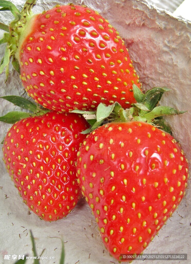 草莓摄影图片