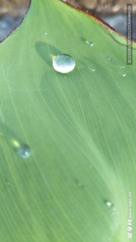 水珠