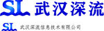 武汉深流logo