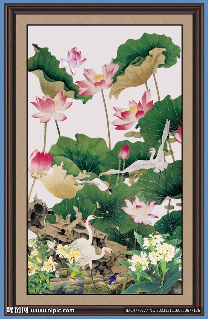 荷花国画 