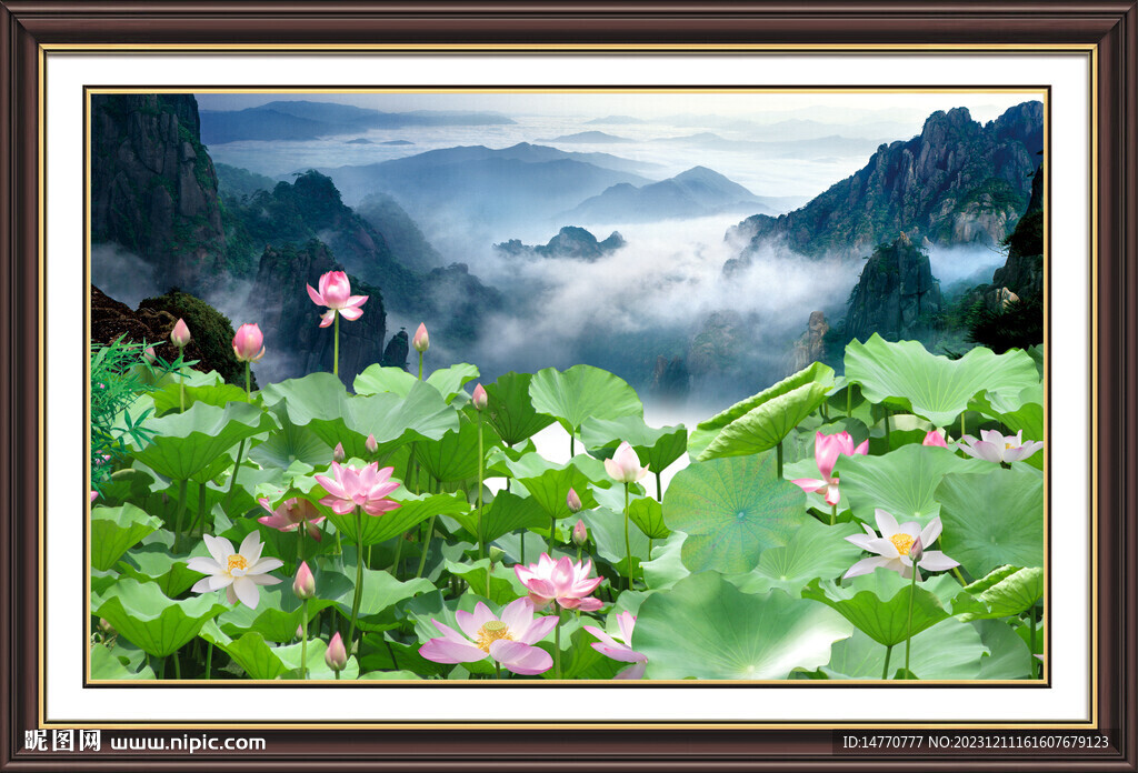 荷花国画 