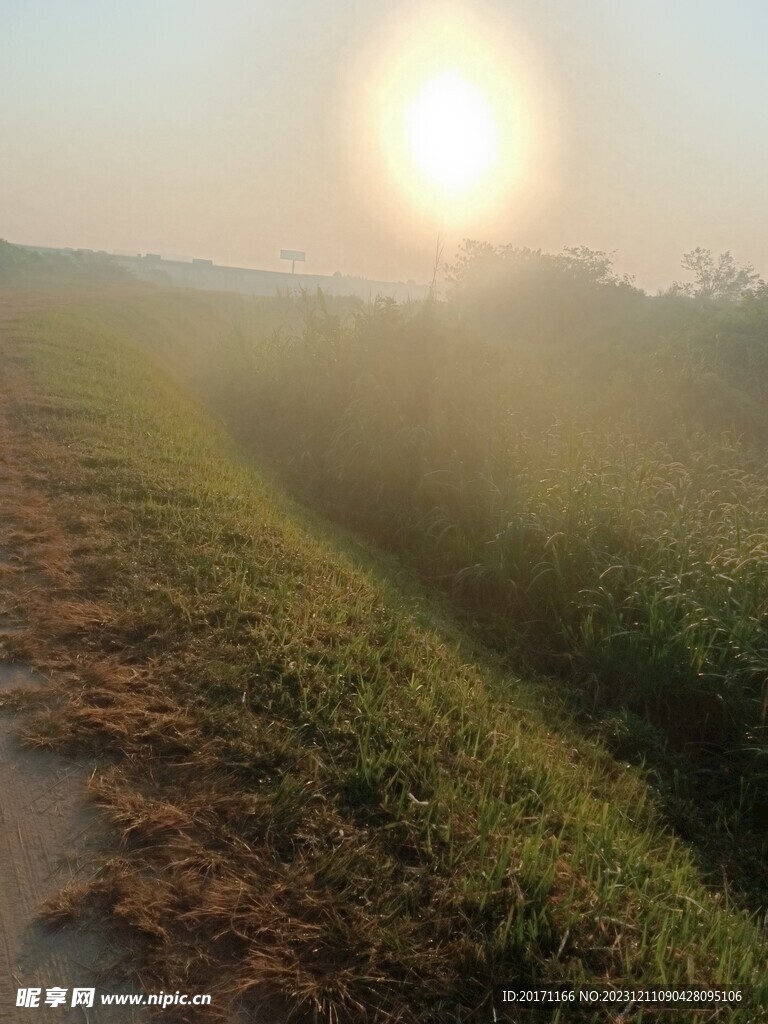 田边的太阳