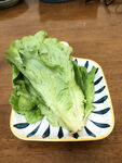一颗生菜