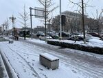 雪景