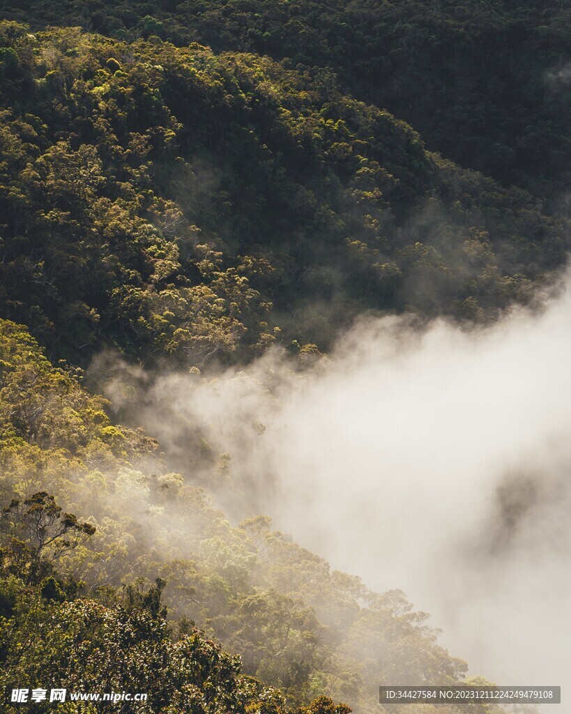 山林风景
