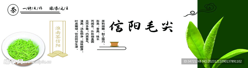 信阳毛尖