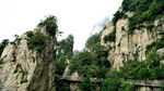 河南洛阳栾川老君山