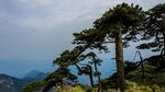 江西三清山优美风景