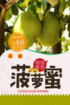 菠萝蜜