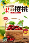 樱桃