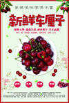 新鲜车厘子