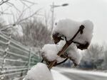 堆积的雪花