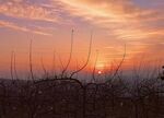 夕阳