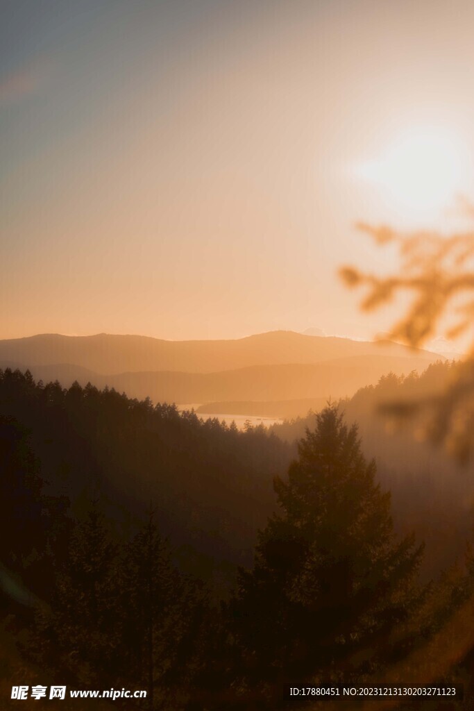 山林