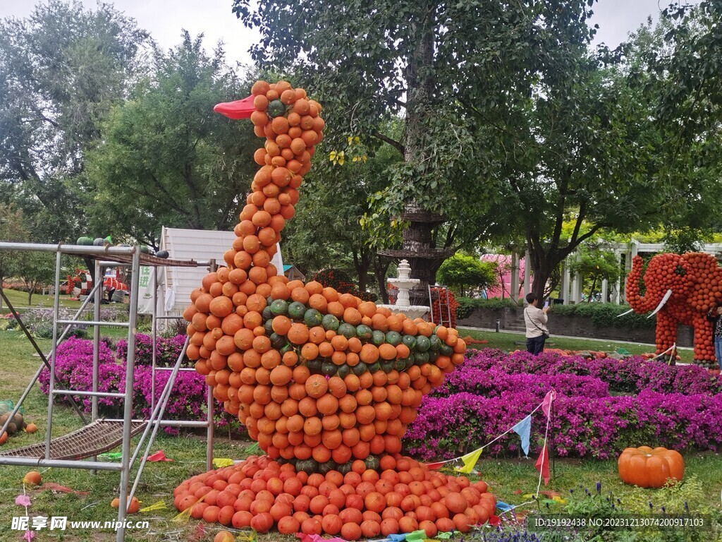 南瓜艺术节 
