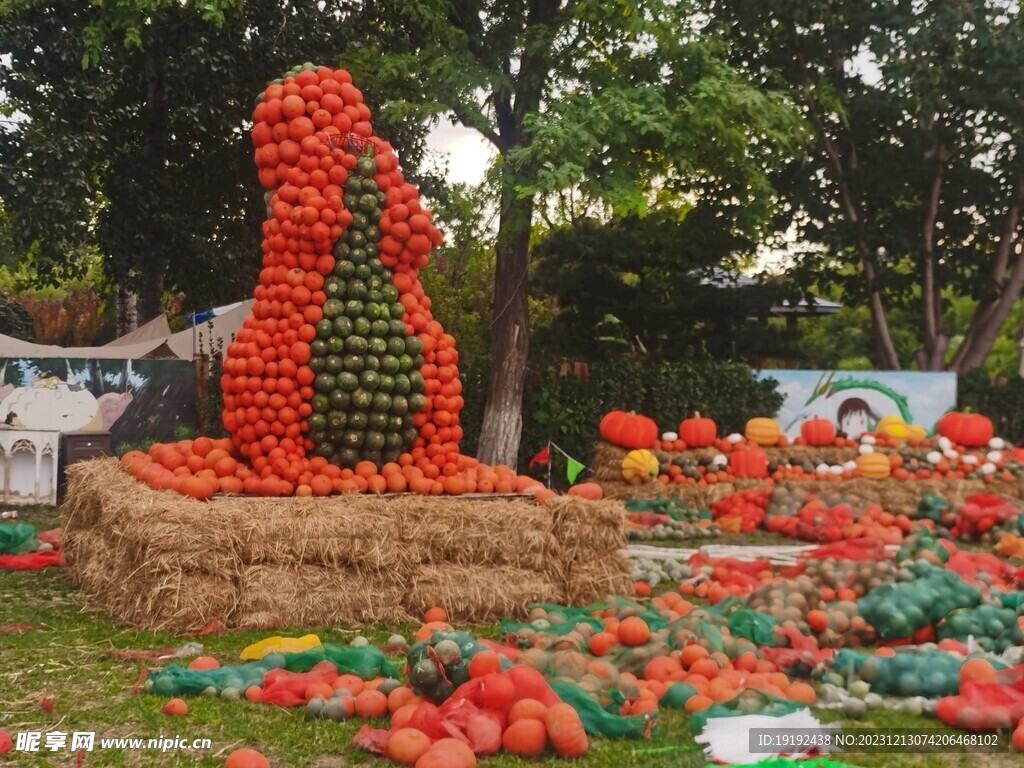 南瓜艺术节