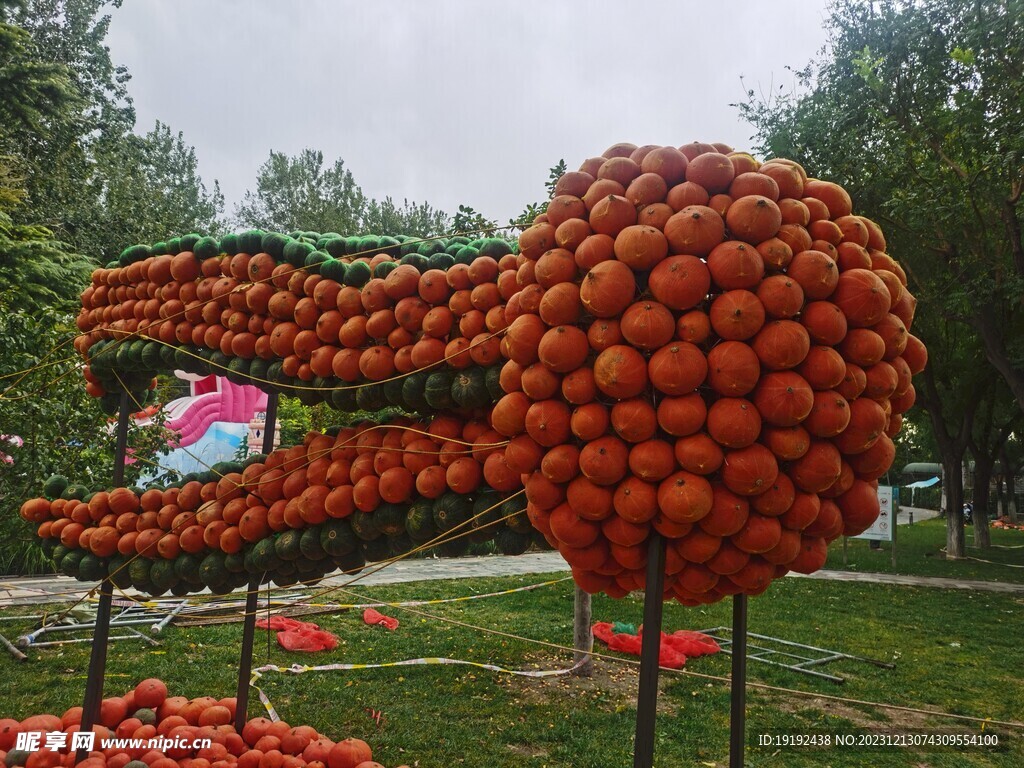 南瓜艺术节 