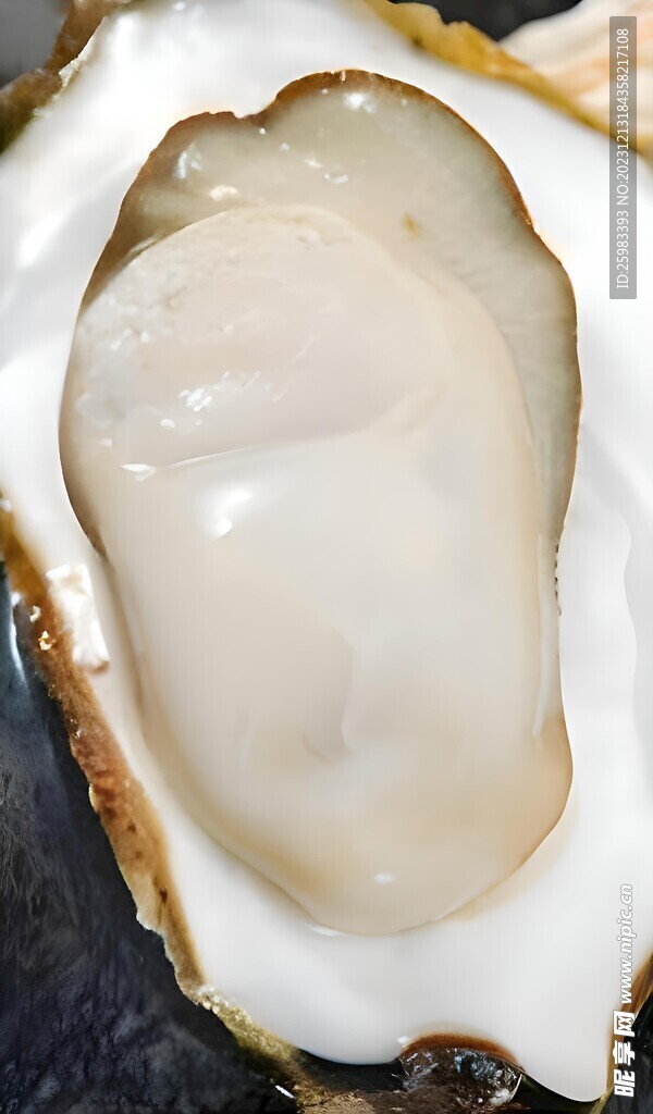 生蚝