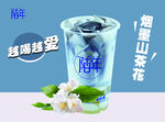 烟墨山茶茶