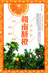 赣南脐橙