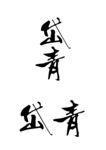 岱青 logo