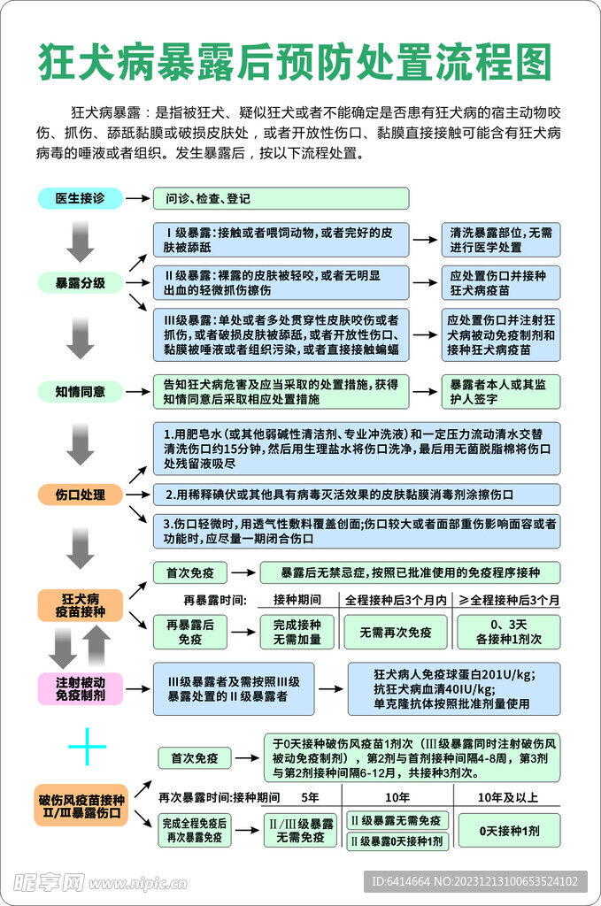 狂犬病暴露后预防处置流程图