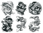 龙
