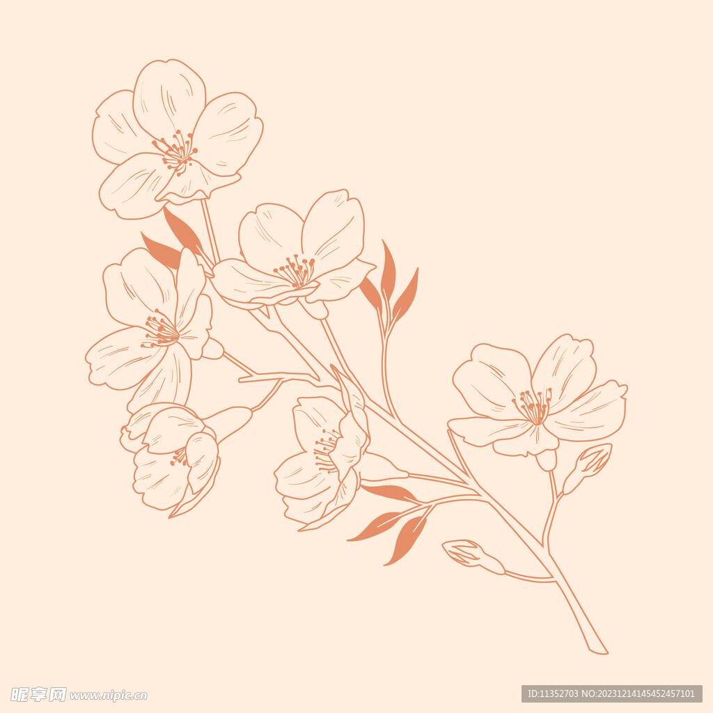 简笔线描花