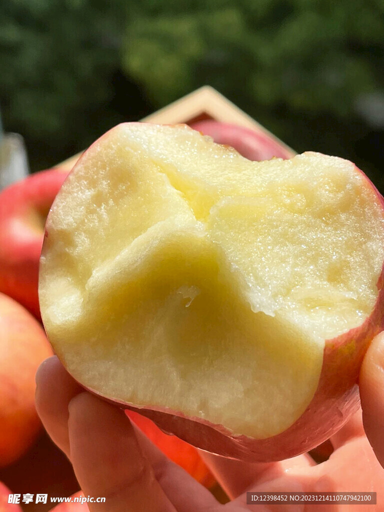 苹果