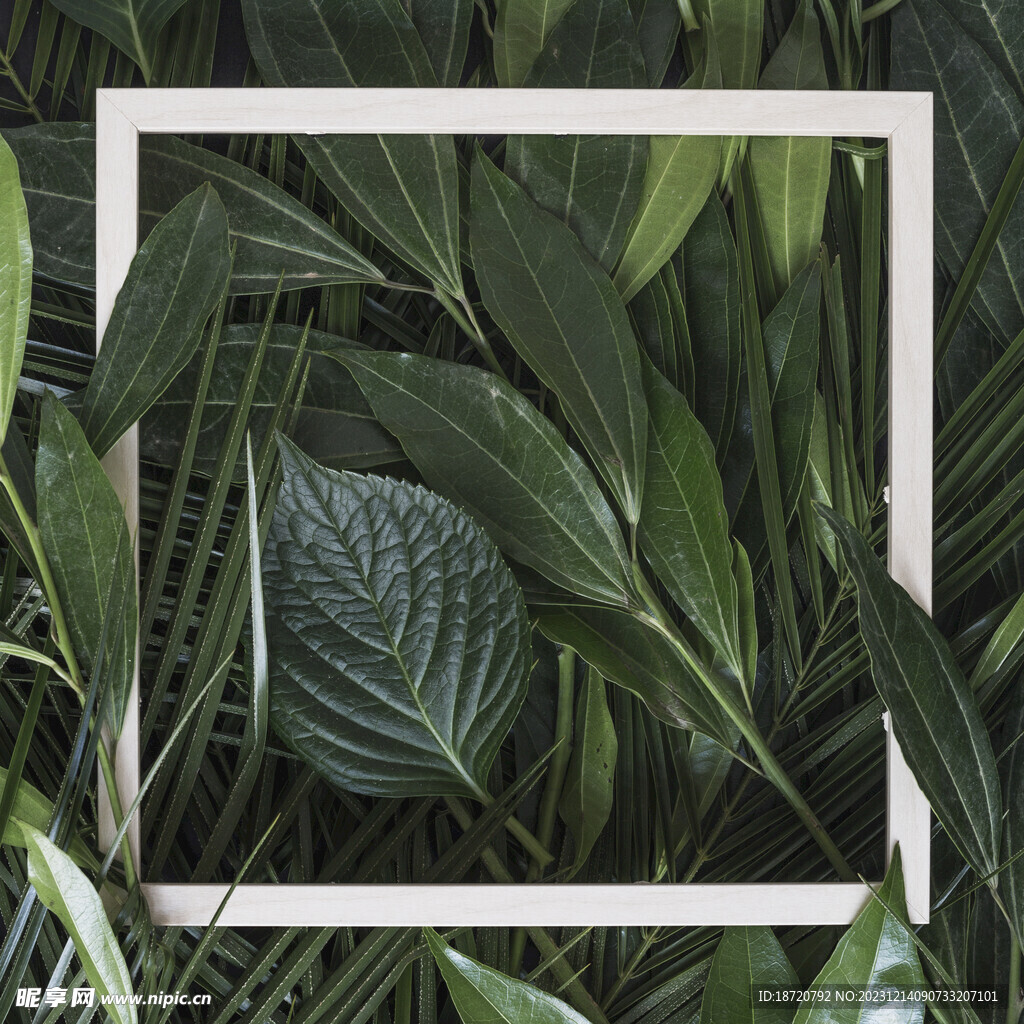 植物背景底纹