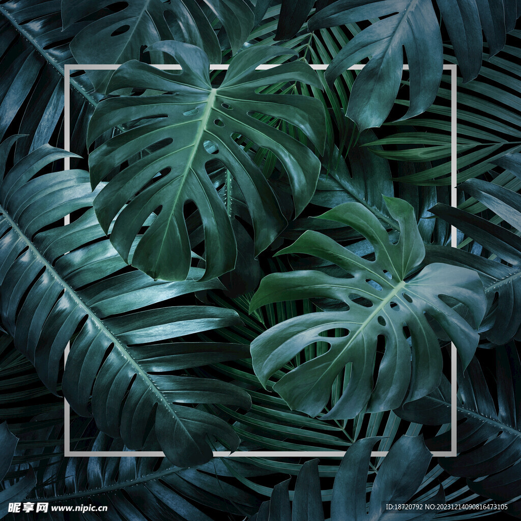 植物背景底纹