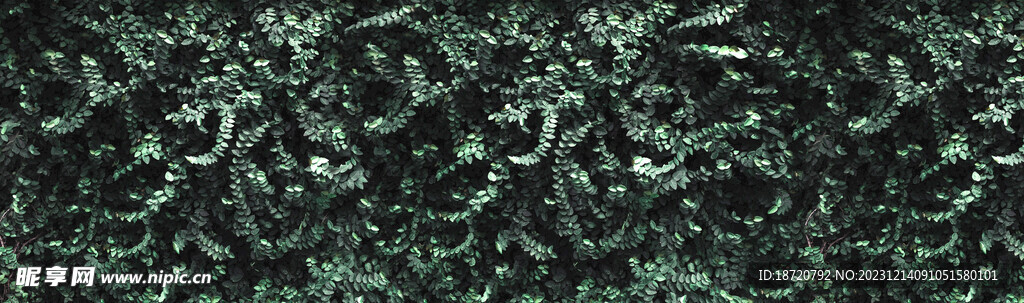植物背景底纹