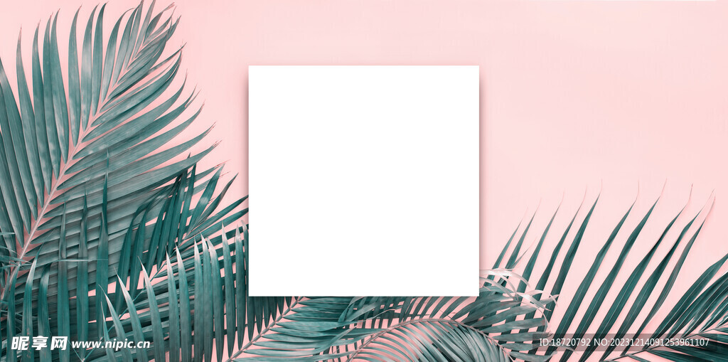 植物背景底纹