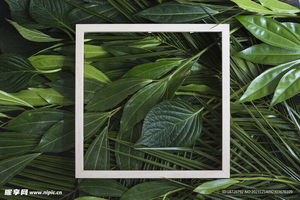植物背景底纹