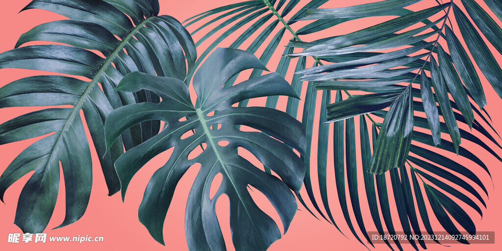 植物背景底纹