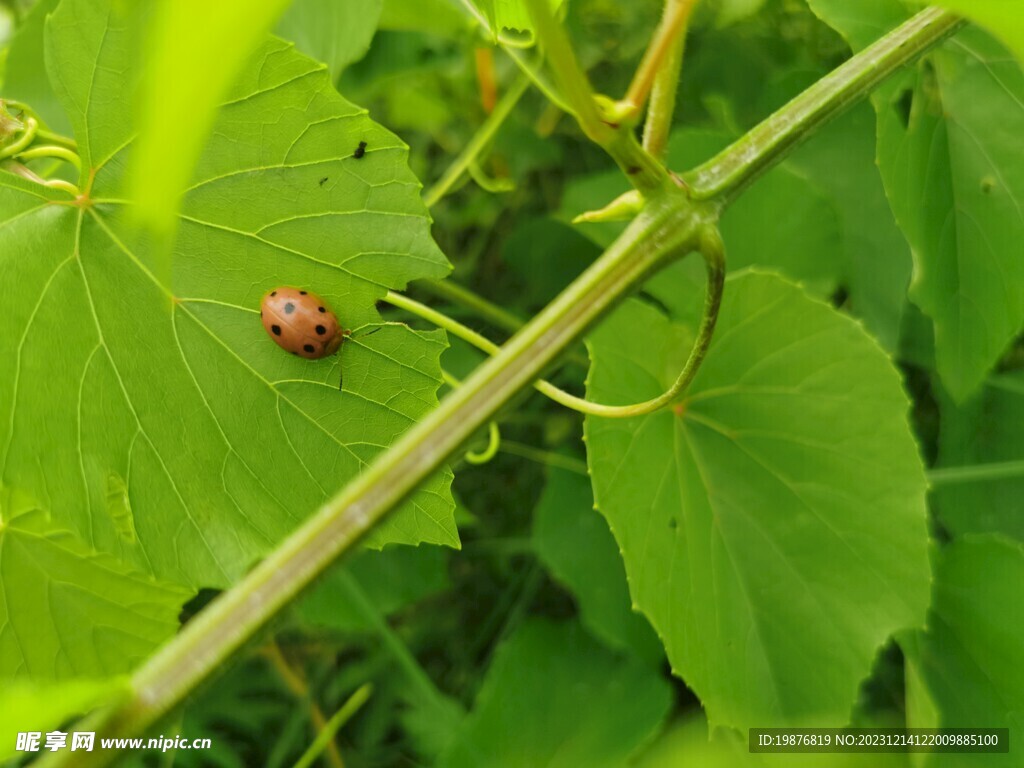 自然风景